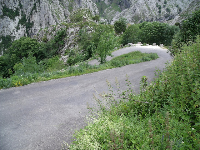 DSCF2693-6%20%282%29.JPG