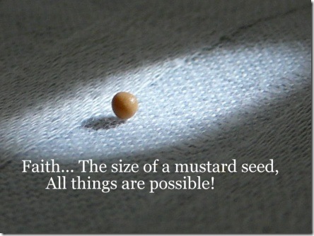 faith of a mustard seed