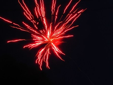 [fireworks[3].jpg]