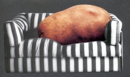 [Couch potato[3].jpg]
