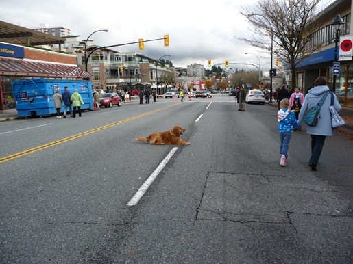 [P1070782[6].jpg]