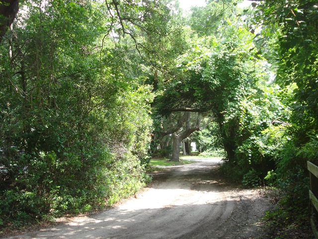 [DSC033003.jpg]