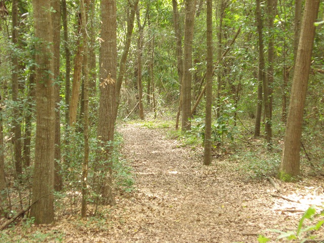 [DSC033083.jpg]