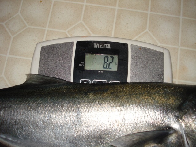 [DSC030242.jpg]