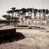 20090607-IMG_4390.jpg