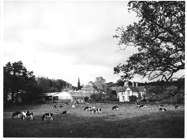 [Hope Farm, Sansaw. 1960s. (BB48)[3].jpg]