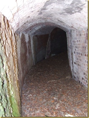 DSCF6186