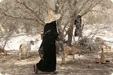 يمنية ترعى