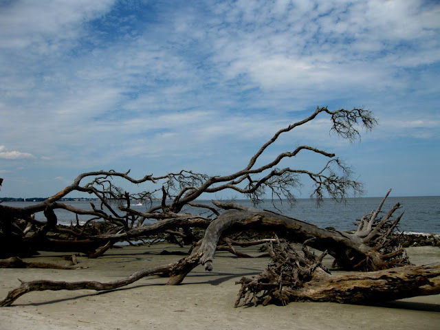 Jekyll Island in Georgia Jekyll Island in Georgia