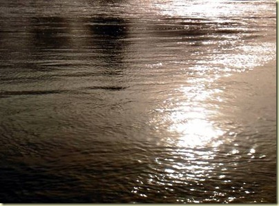 Photo033