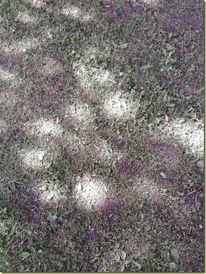 Photo0028