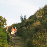 IMG_2217.JPG