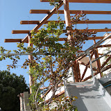 Agros April 2007
