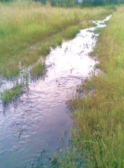[Hartbeespoort raw sewage polluting entire dam pouring in for three months by Jan 2010[11].jpg]