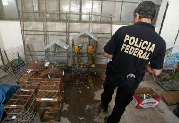 [Interpol International Wildlife Smuggling Syndicate Bust interpol int pic[5].jpg]