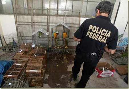 Interpol International Wildlife Smuggling Syndicate Bust interpol int pic