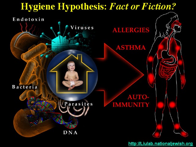 [HygieneHypothesis_Allergies_liulab org[5].jpg]
