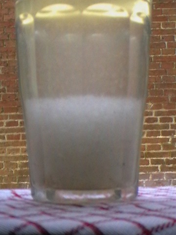 [Eco toilet paper test June 18 2009 Day 14 shredded into tap water[8].jpg]