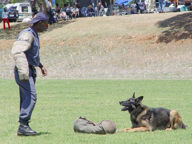 [Police dog training units are demoralised in South Africa writes this author[4].jpg]