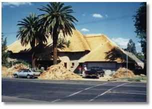 [Palm Lodge[6].jpg]