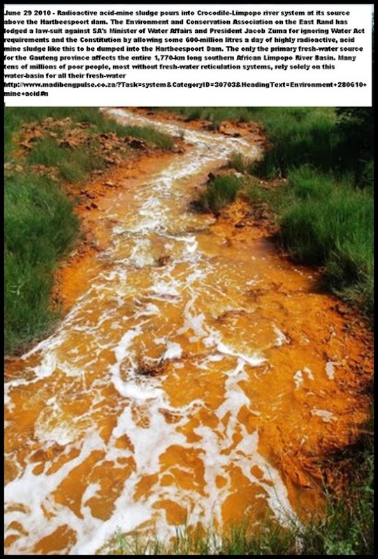 Acid Mine Drainage from West Rand Mines Mariette Liefferink Hartbeespoortdam