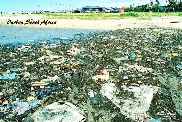 [Durban waterfront Snowy Smith environmental photographer campaigner[5].jpg]
