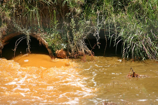 [Acid Polluted Hippo Dam in Krugersdorp Game Reserve[5].jpg]