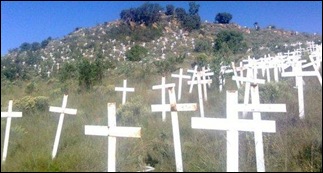 FIELD OF CROSSES STOP BOER GENOCIDE WITHOUT LOGO