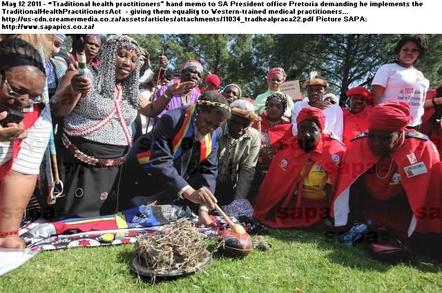 [TRADITIONAL HEALTH PRACTITIONERS ACT ZUMA MUST IMPLEMENT IT MAY122011[7].jpg]