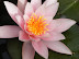 dscf0269.jpg