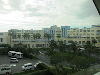 IMG_3786.jpg Photo