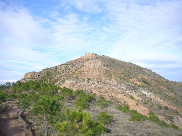 P1010864