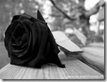 rosa_luto rosa_luto