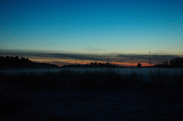 DSC_5665.JPG
