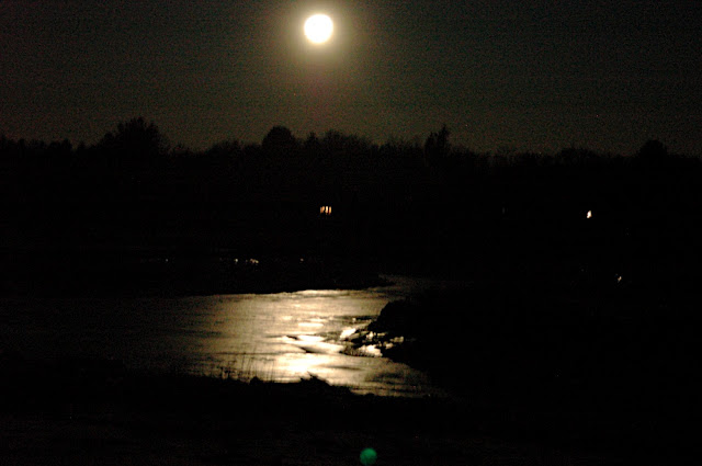 DSC_5715.JPG