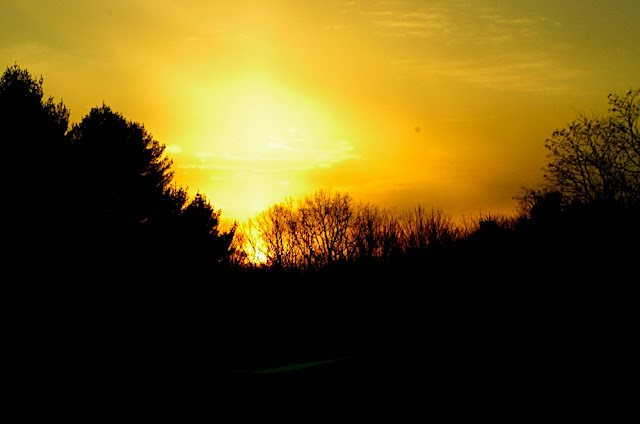 DSC_5734.JPG