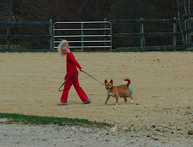 DSC_6280.JPG