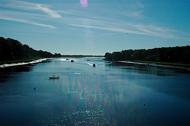 DSC_6469.JPG
