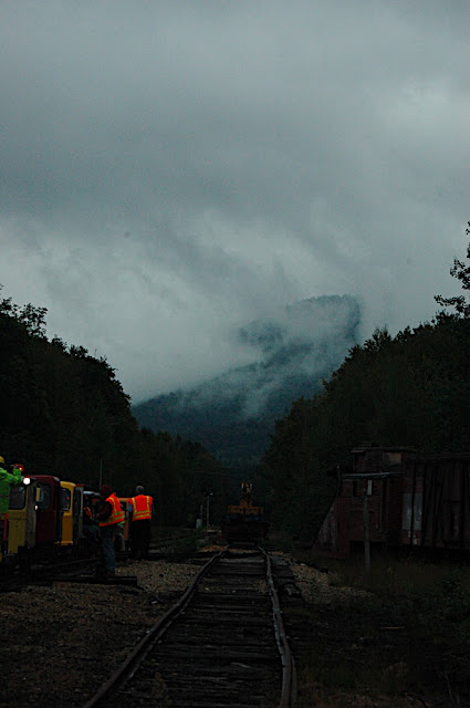 DSC_7415.JPG