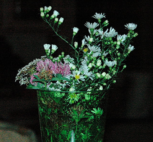 DSC_7472.JPG