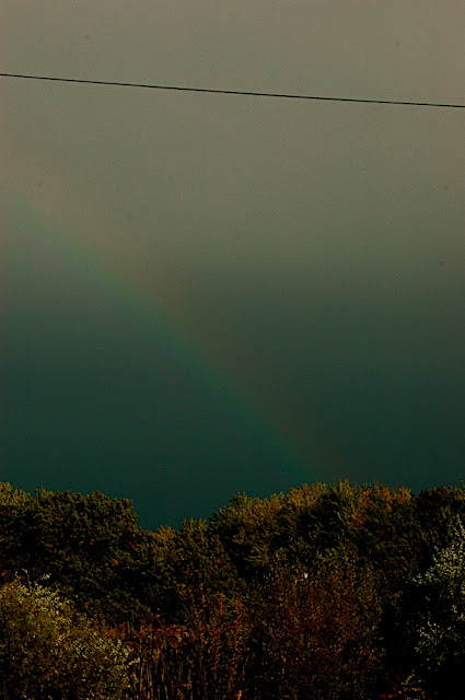 DSC_8079.JPG