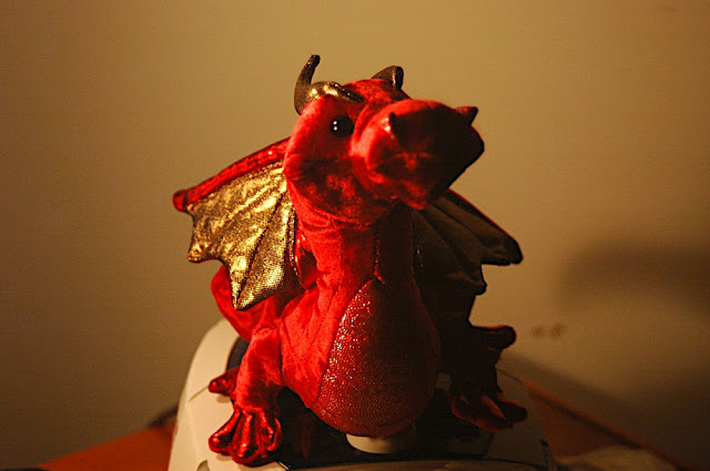 DSC_8087.JPG