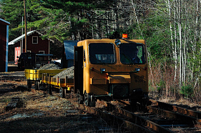 DSC_8181.JPG