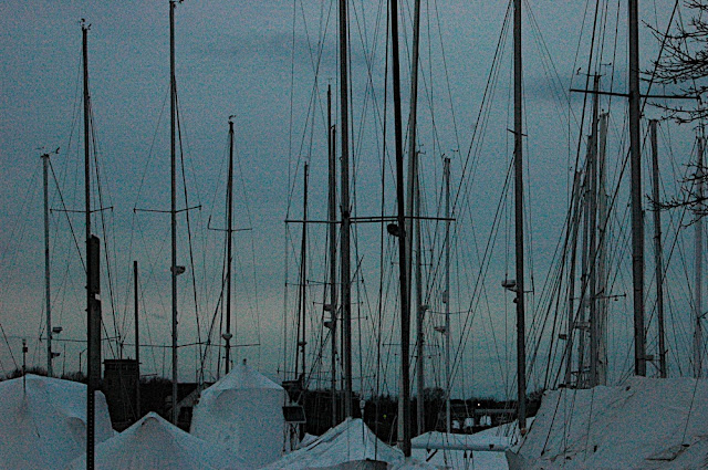 DSC_8232.JPG