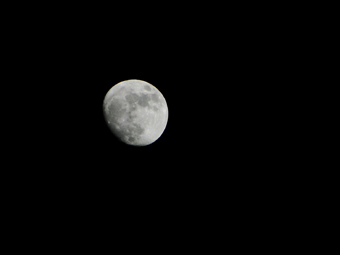 http://lh5.ggpht.com/_ZNNUGVsXoJ0/S9lVV1P4AkI/AAAAAAAAAN4/a9XGh0QpOE0/lune.jpg