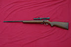 sporting long guns