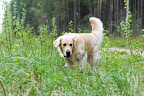 foto11/