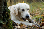 foto2/