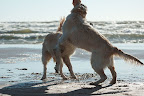 foto2/
