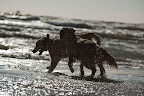 foto15/